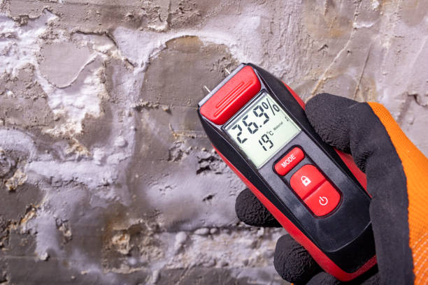 Best Water Damage Restoration  in Shell Rock, IA