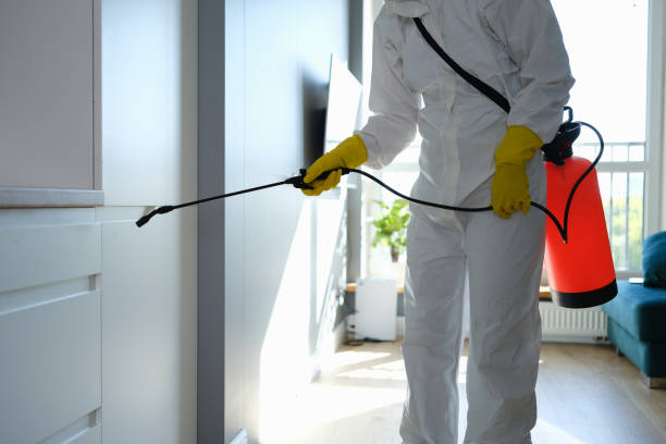 Best Certified Mold Removal  in Shell Rock, IA